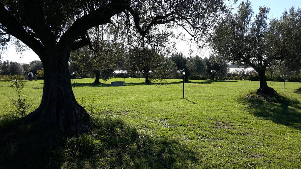 Villa Klinai Cerveteri Exterior photo